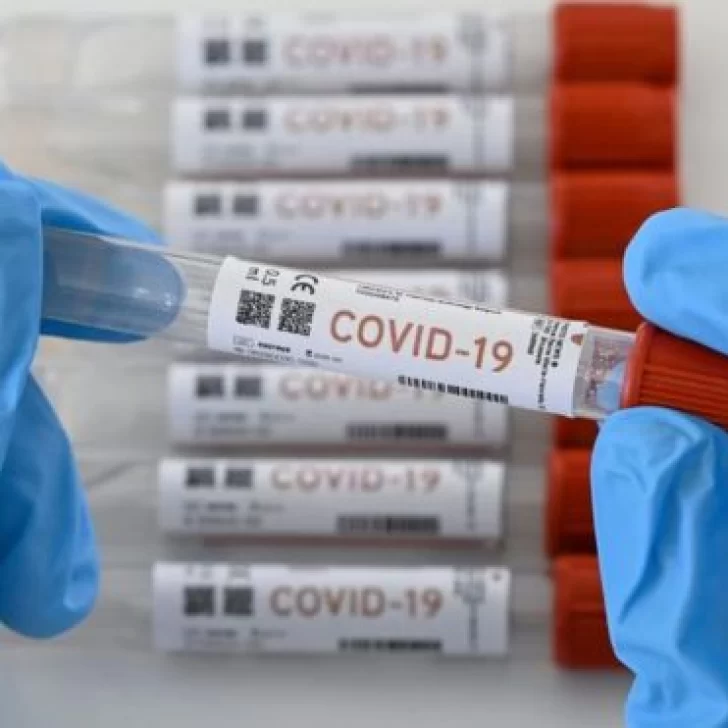 4.231 nuevos casos de Covid-19 en Argentina