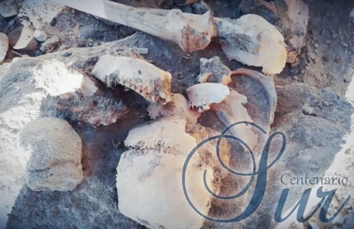 Se investiga el hallazgo de restos óseos humanos en Pico Truncado