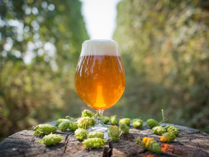¿De qué lugar es la mejor cerveza IPA de Sudamérica?