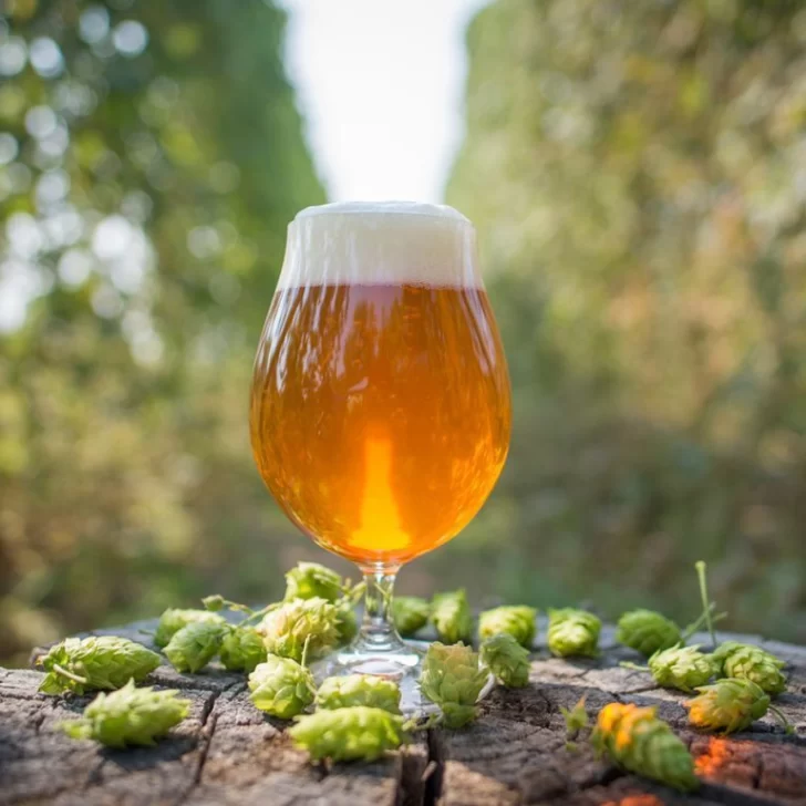 ¿De qué lugar es la mejor cerveza IPA de Sudamérica? ¿De qué lugar es la mejor cerveza IPA de Sudamérica?