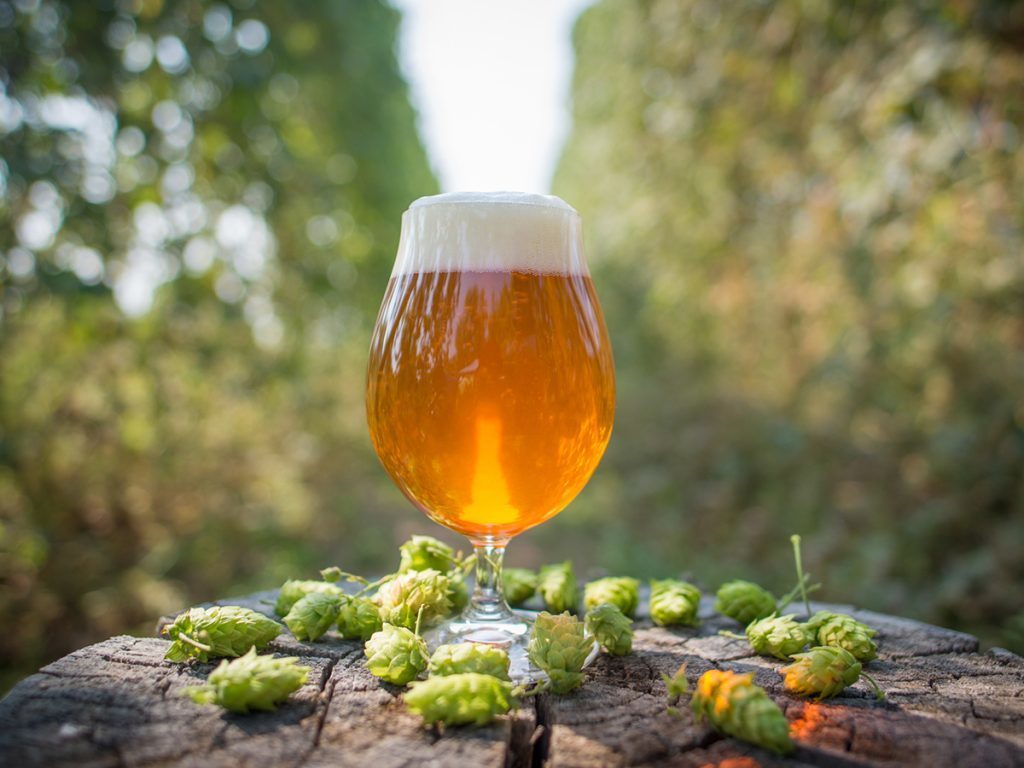 ¿De qué lugar es la mejor cerveza IPA de Sudamérica? ¿De qué lugar es la mejor cerveza IPA de Sudamérica?