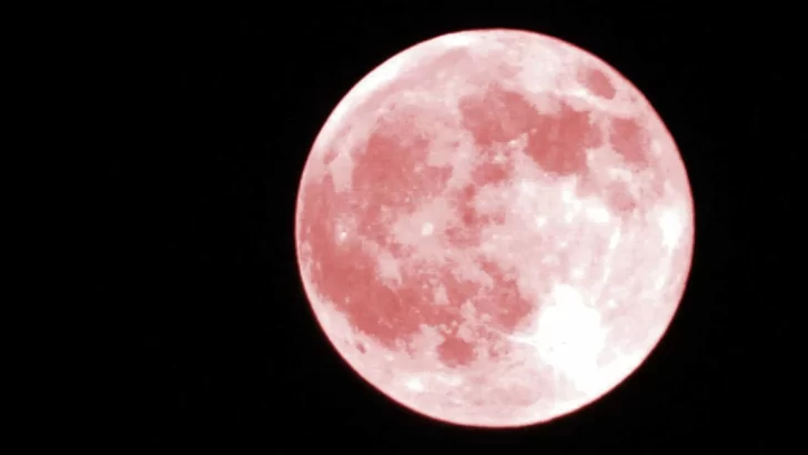 Luna rosa: ¿A qué hora se podrá ver en Argentina?