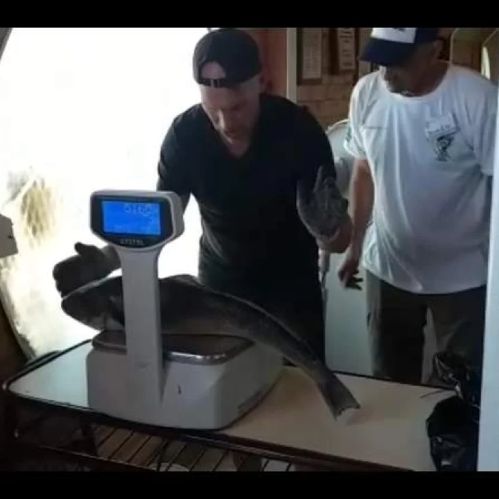 Fiesta Nacional del Róbalo: Pescadores coparon la costa Fiesta Nacional del Róbalo: Pescadores coparon la costa