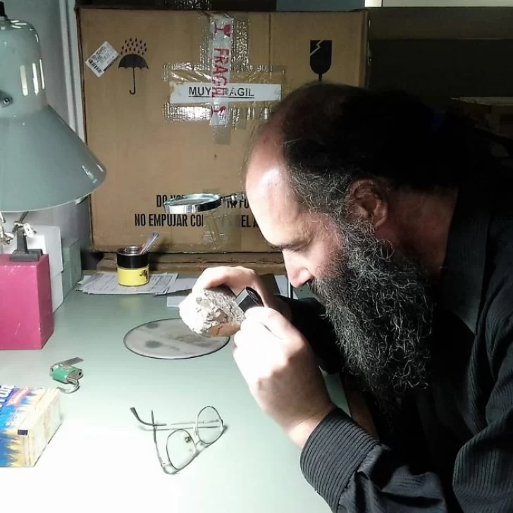 El Museo Padre Molina recibió material del período Cretácico de Santa Cruz