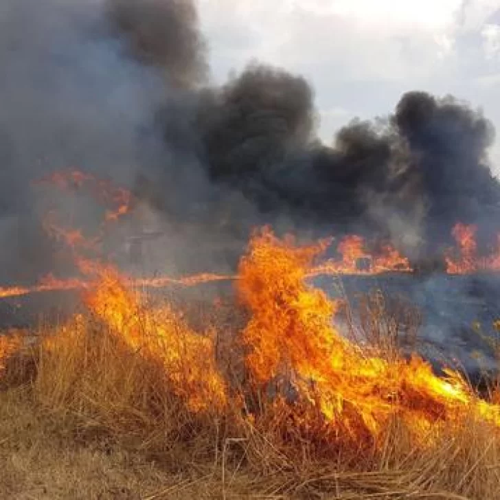 Incendio en Gobernador Gregores consumió 600 hectáreas