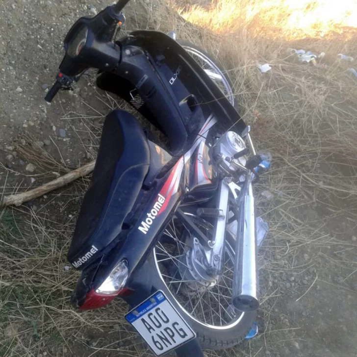 Encontraron una moto escondida entre árboles