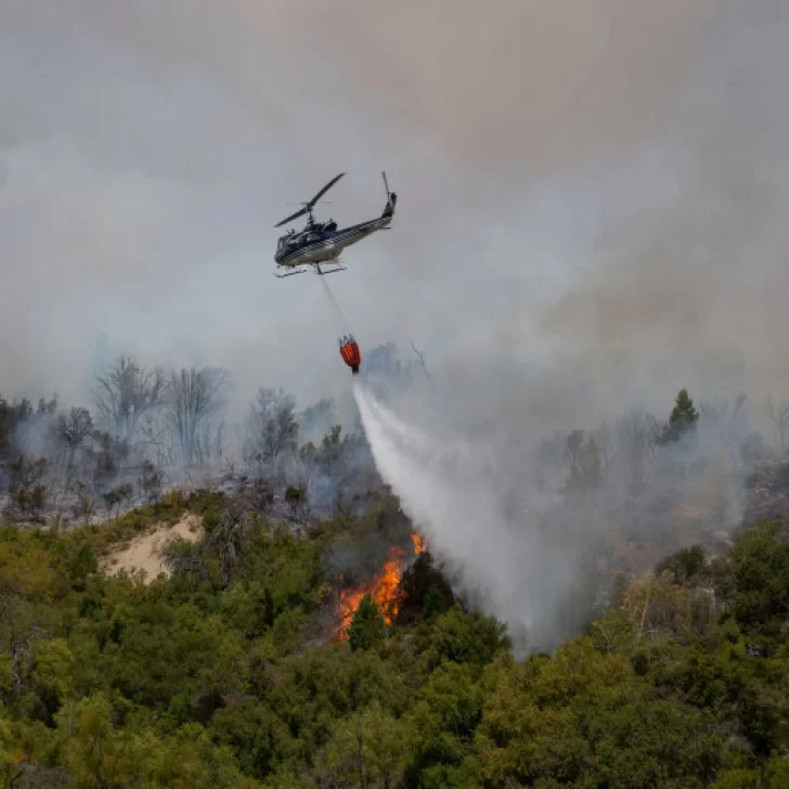 Las altas temperaturas no ayudan a sofocar los  incendios forestales de Rio Negro, Neuquén y la Pampa
