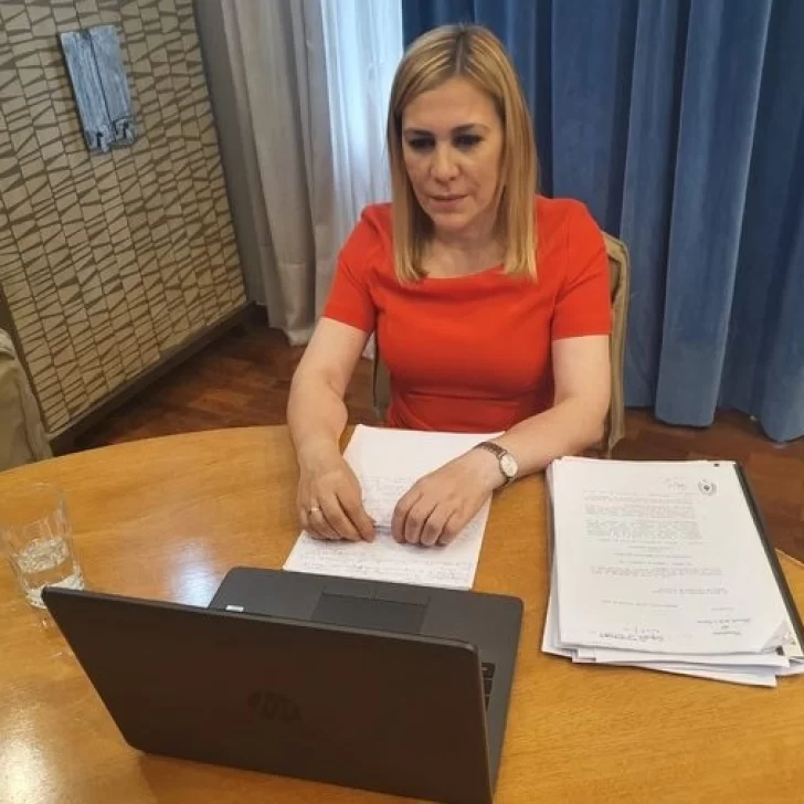Beatriz Ávila presentó hoy un proyecto de ley para habilitar el voto por correo postal