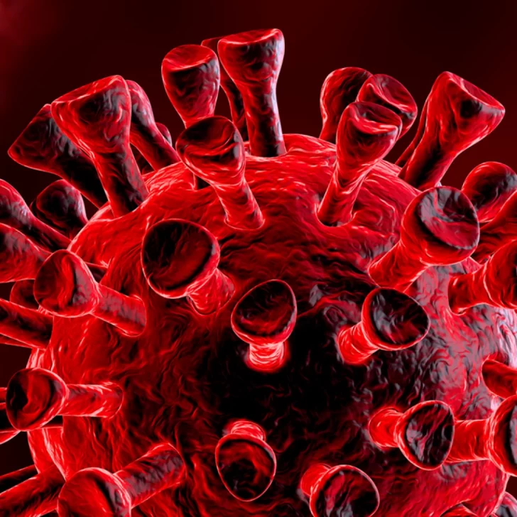 Qué es la “enfermedad X” que según la OMS “podría provocar 20 veces más muertes” que el COVID Qué es la “enfermedad X” que según la OMS “podría provocar 20 veces más muertes” que el COVID