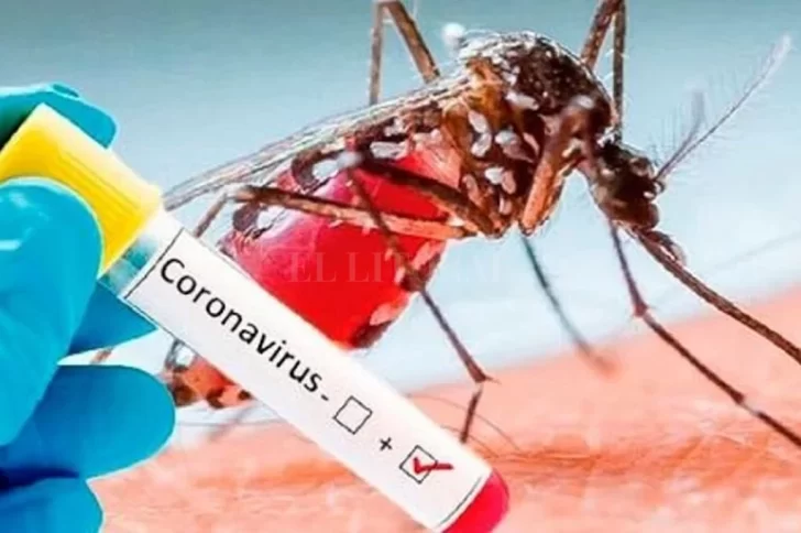 Casos de “corona-dengue” y “corona-salmonella” encienden la alarma en Salta