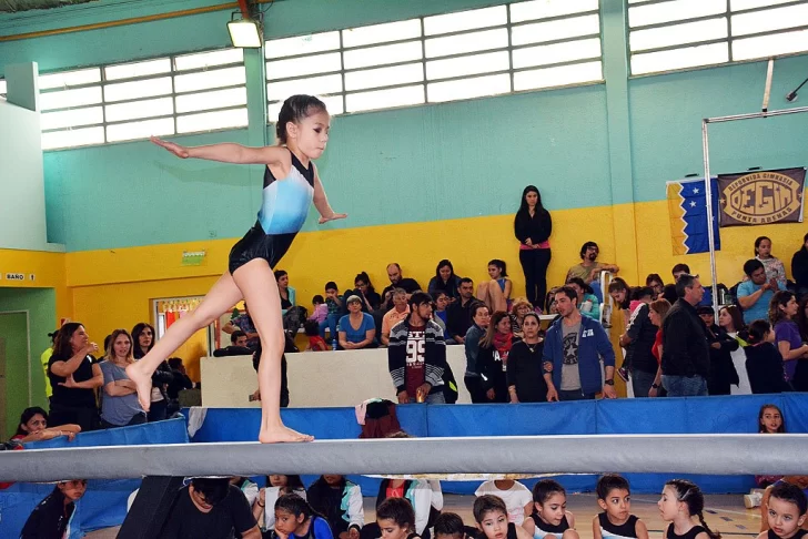 Copa Gimnástica Sur: Más de 300 gimnastas compiten en el Rocha
