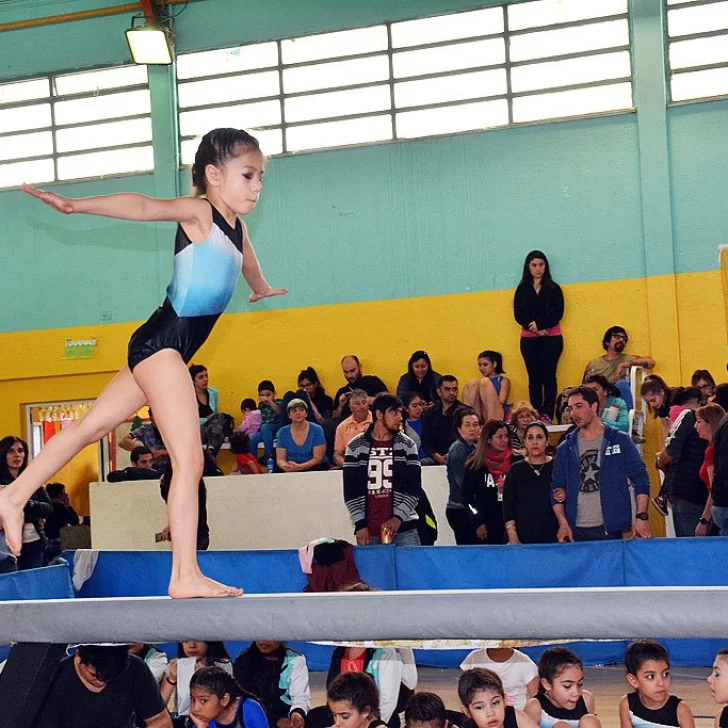 Copa Gimnástica Sur: Más de 300 gimnastas compiten en el Rocha