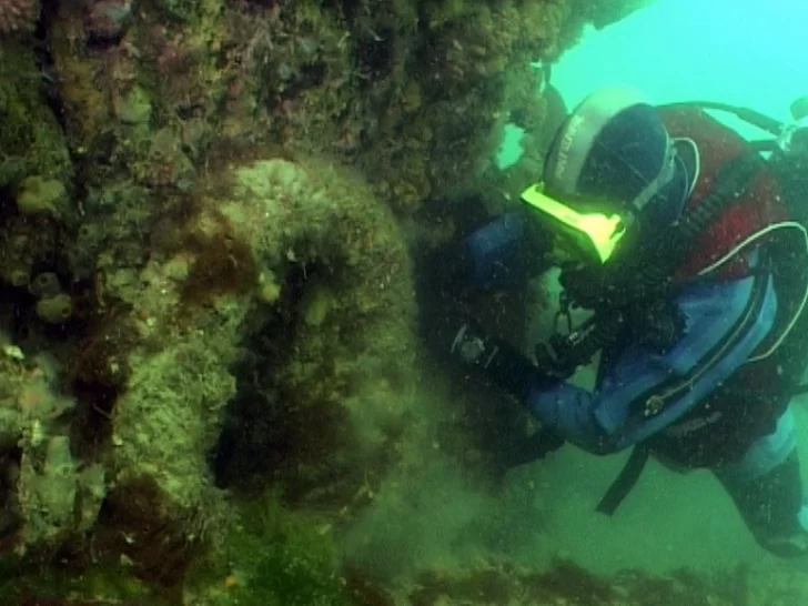 Este sábado transmitirán el documental “Swift, el relato de dos siglos bajo el mar”