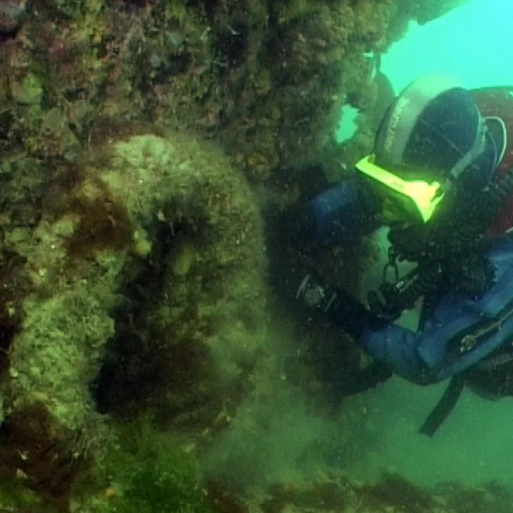 Este sábado transmitirán el documental “Swift, el relato de dos siglos bajo el mar”