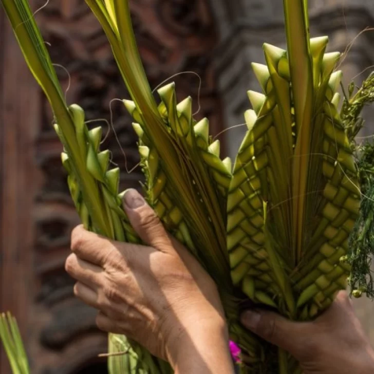 Tradición cristiana: conocé la historia del Domingo de Ramos, que da inicio a la Semana Santa