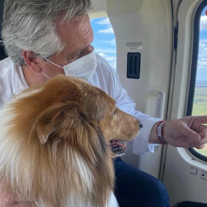 Dylan voló por primera vez en helicóptero, criticaron el descanso de Alberto Fernández y Fabiola Yañez respondió