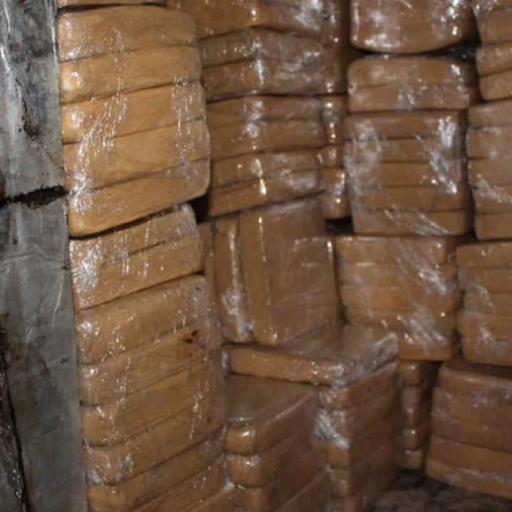 Según tres comisarios, las ratas se comieron 540 kilos de marihuana de un secuestro