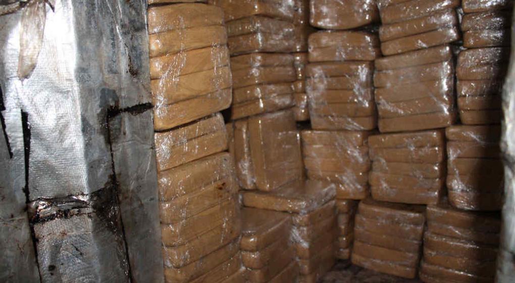 Según tres comisarios, las ratas se comieron 540 kilos de marihuana de un secuestro