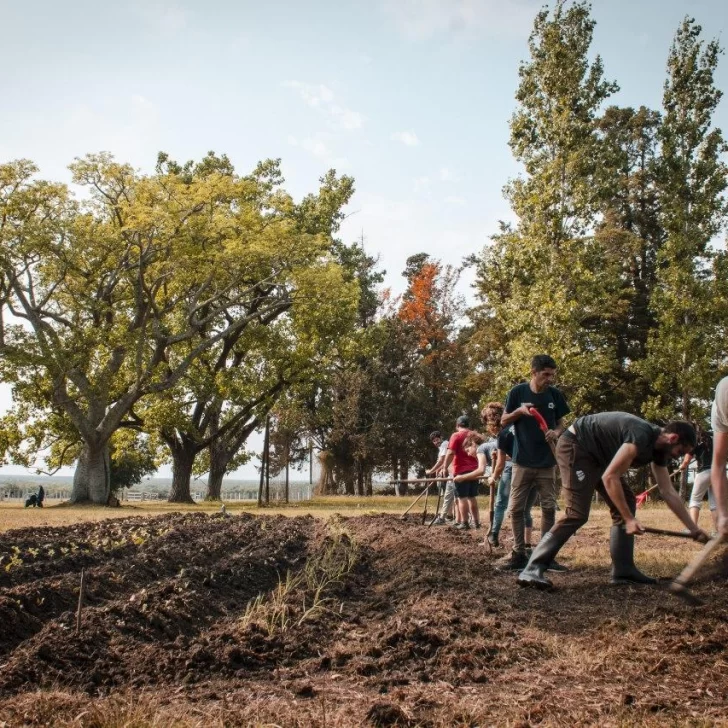 Patrones de estancia Patrones de estancia