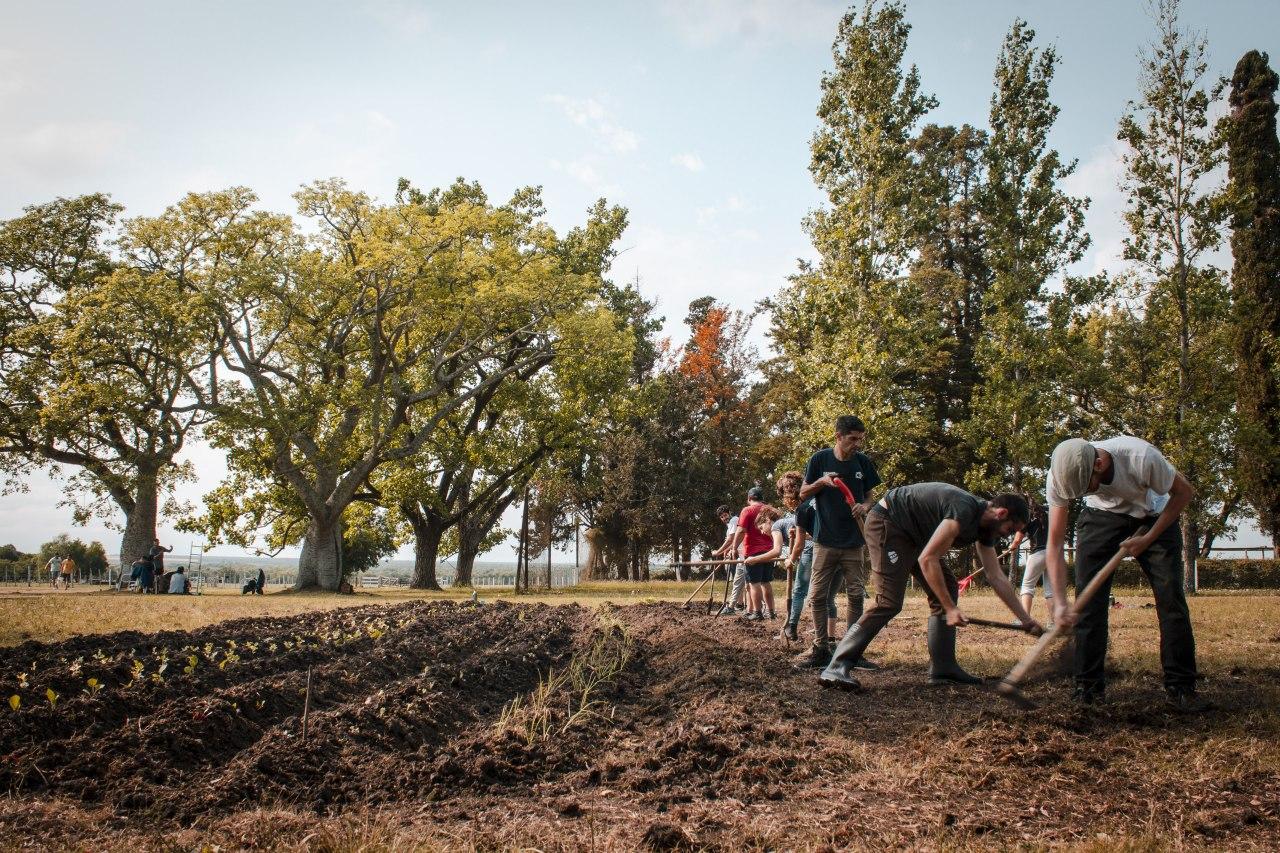 Patrones de estancia Patrones de estancia