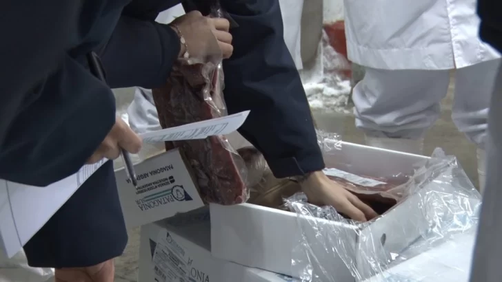 Comenzó la exportación de carne de guanaco a la UE