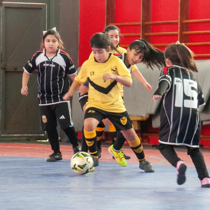 Agenda deportiva para disfrutar en los gimnasios municipales de la capital de Santa Cruz