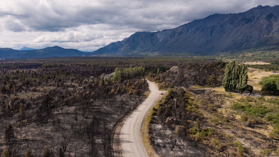 Con un plan de reforestación, el INTA buscará recuperar el bosque de El Bolsón