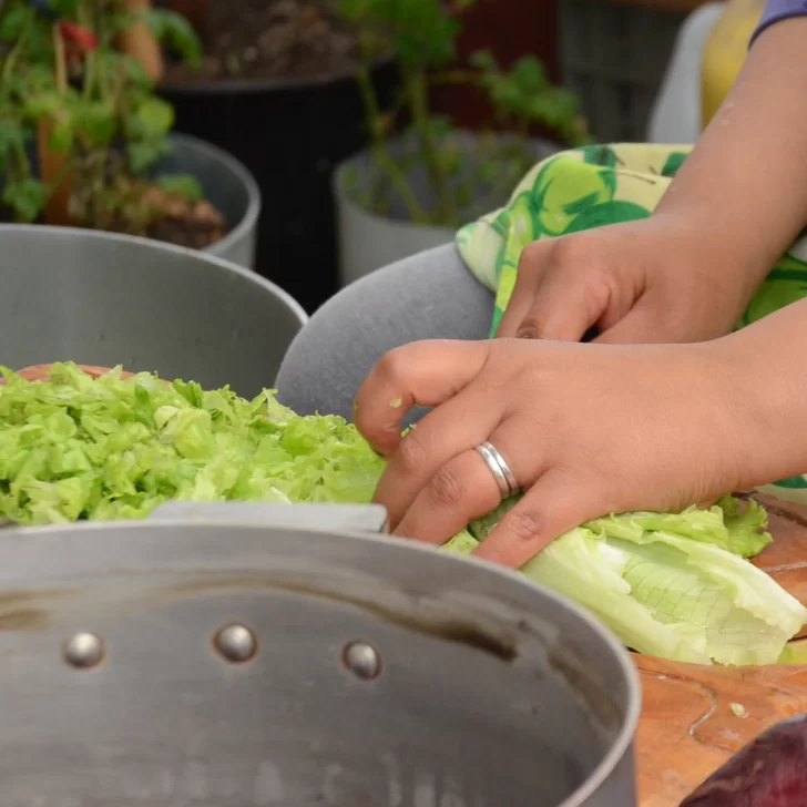 Manitos Verdes: un proyecto solidario que crece en Río Gallegos