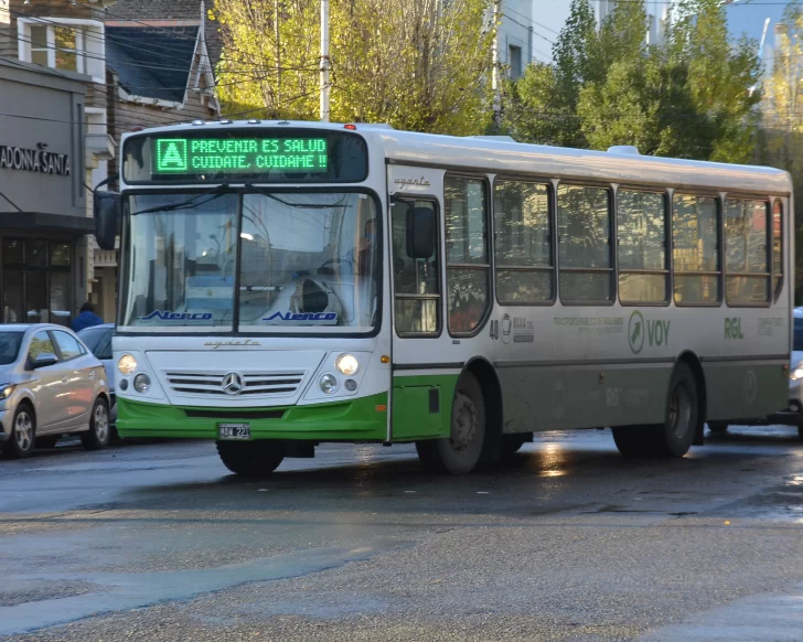 Confirmado: Municipio de Río Gallegos dialoga con dos empresas de colectivos
