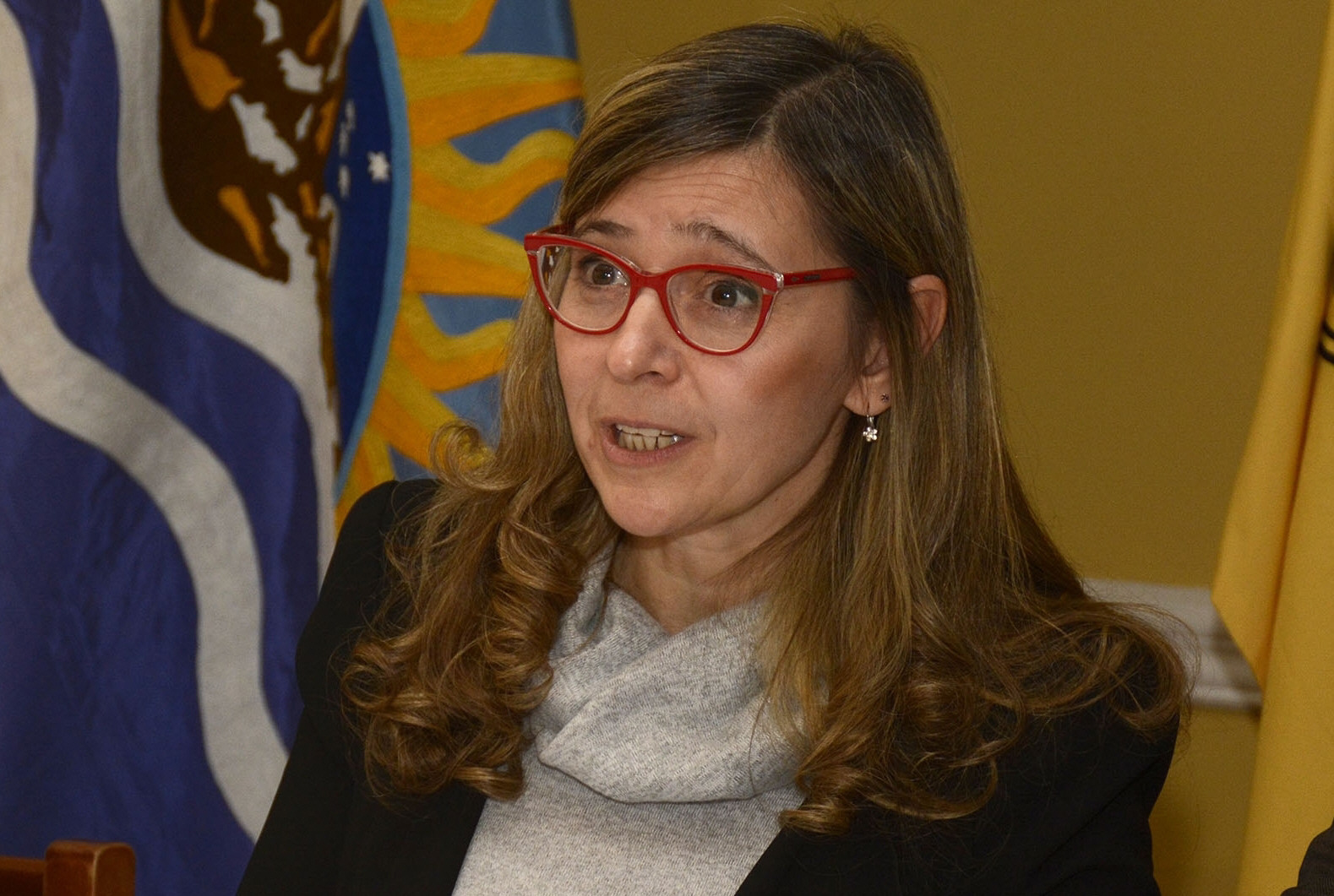 Turismo presentó el plan para la reactivación post pandemia Turismo presentó el plan para la reactivación post pandemia