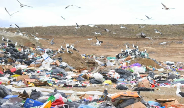 Vaciadero en zona norte: un paso hacia una Santa Cruz más limpia