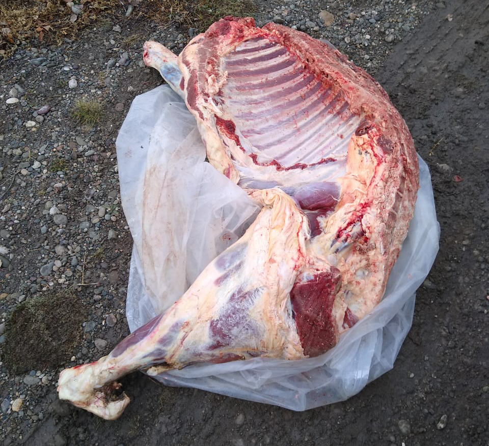 Demorados por llevar carne de forma ilegal Demorados por llevar carne de forma ilegal