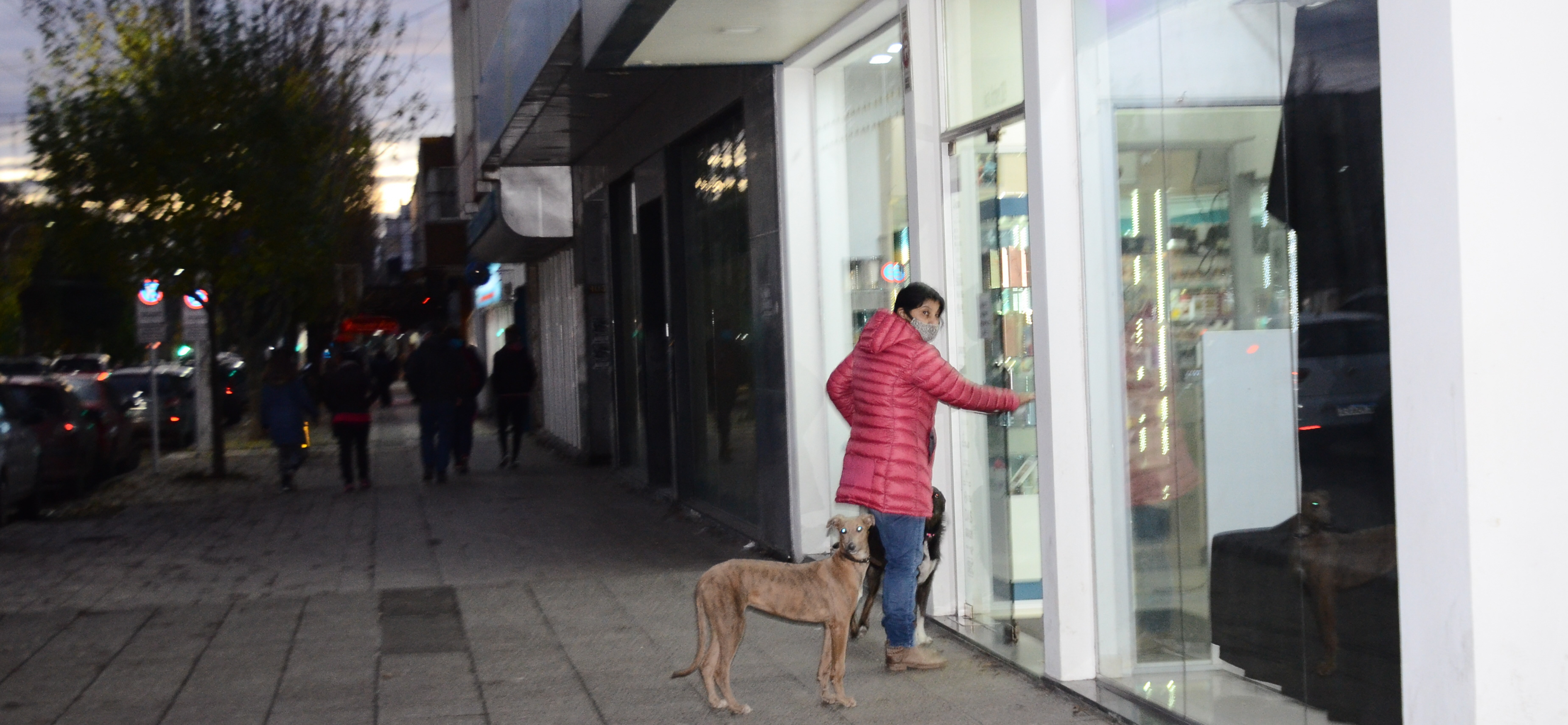 Fadul: “Lo que más daño le hace al comercio es la circulación del virus” Fadul: “Lo que más daño le hace al comercio es la circulación del virus”