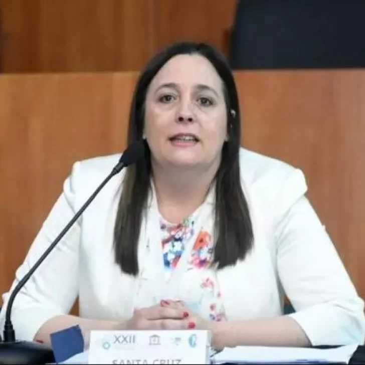 Suspendieron a la jueza Totino por la adopción con trampa Suspendieron a la jueza Totino por la adopción con trampa