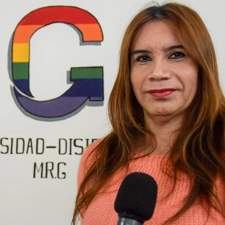 Igualdad: Santa Cruz debate el cupo laboral para trans y travestis