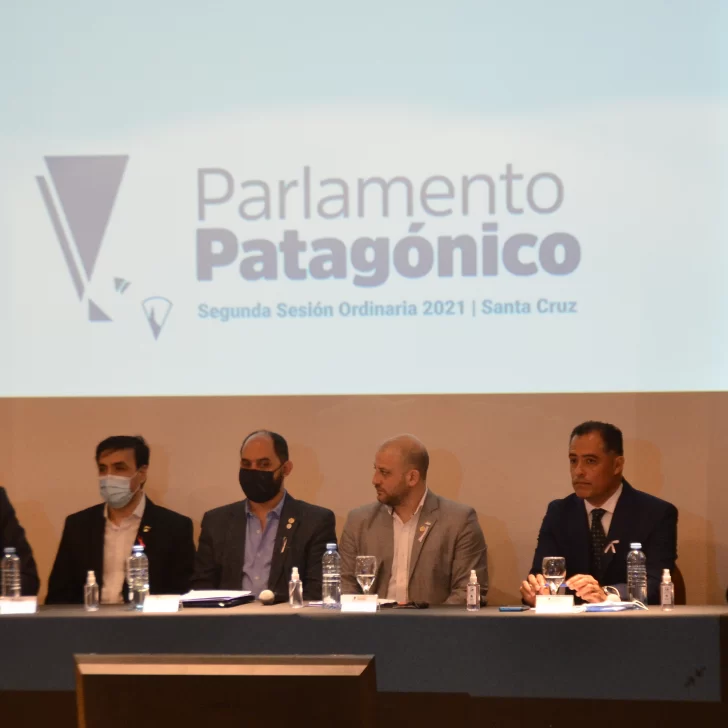 Crearían un régimen de promoción de empleo en la región patagónica