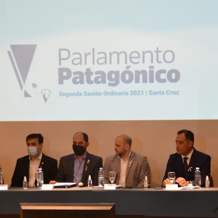 Es hoy el Parlamento Patagónico: Santa Cruz impulsa 7 proyectos