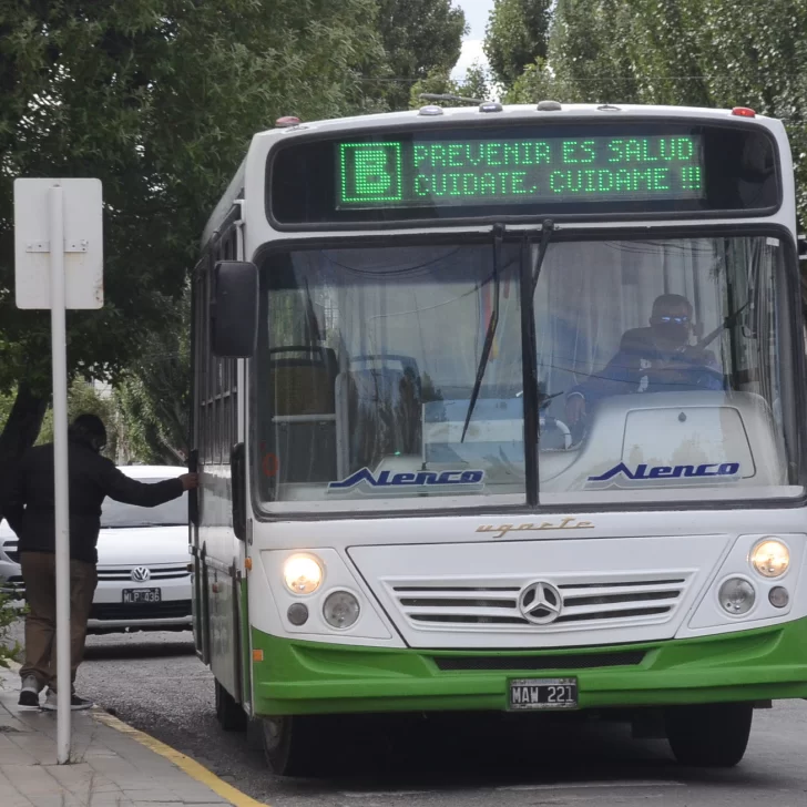 Municipio y Maxia extendieron la prórroga y se afianza el transporte