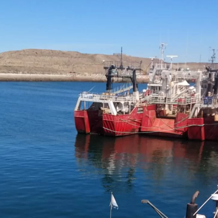 Buen inicio de zafra: son 40 las embarcaciones que operan sumando Puerto Deseado y caleta Paula