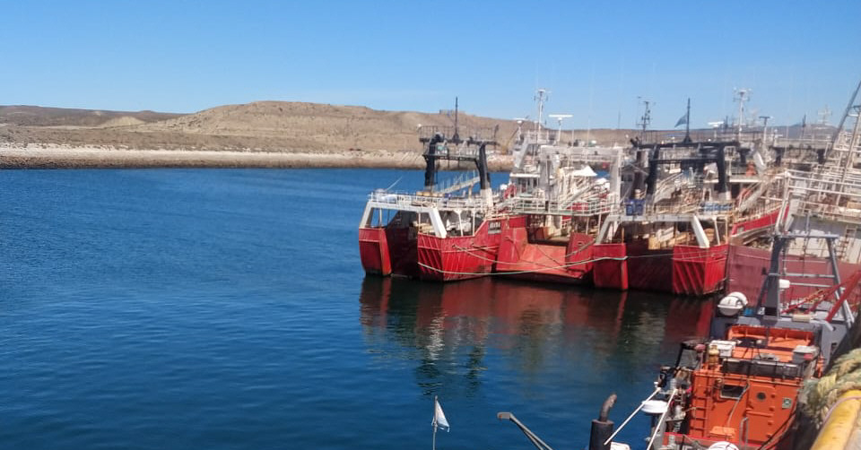 Buen inicio de zafra: son 40 las embarcaciones que operan sumando Puerto Deseado y caleta Paula