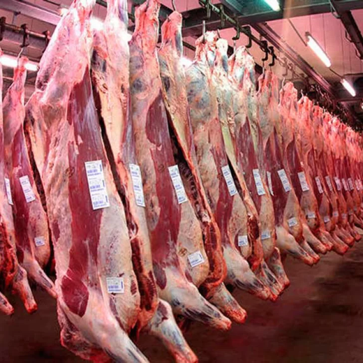 Prevén año récord para la exportación de carne vacuna