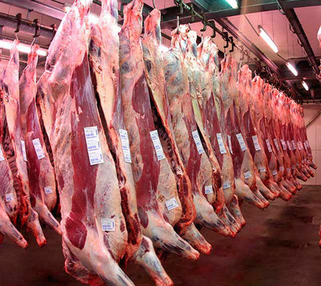 Prevén año récord para la exportación de carne vacuna