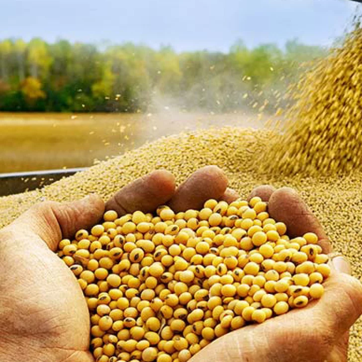 La exportación de soja creció un 74,5%
