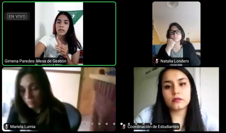 Este jueves se conocerá a los estudiantes que pasarán a la instancia nacional del Parlamento Juvenil