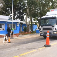 Carne con hueso en la Patagonia: Santa Cruz sancionó una ley para crear una barrera fitosanitaria provincial