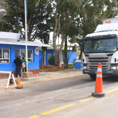 Carne con hueso en la Patagonia: Santa Cruz sancionó una ley para crear una barrera fitosanitaria provincial