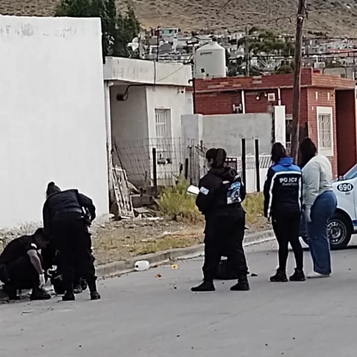 ¿Ajuste de cuentas?: al menos diez disparos contra una agencia de autos ¿Ajuste de cuentas?: al menos diez disparos contra una agencia de autos