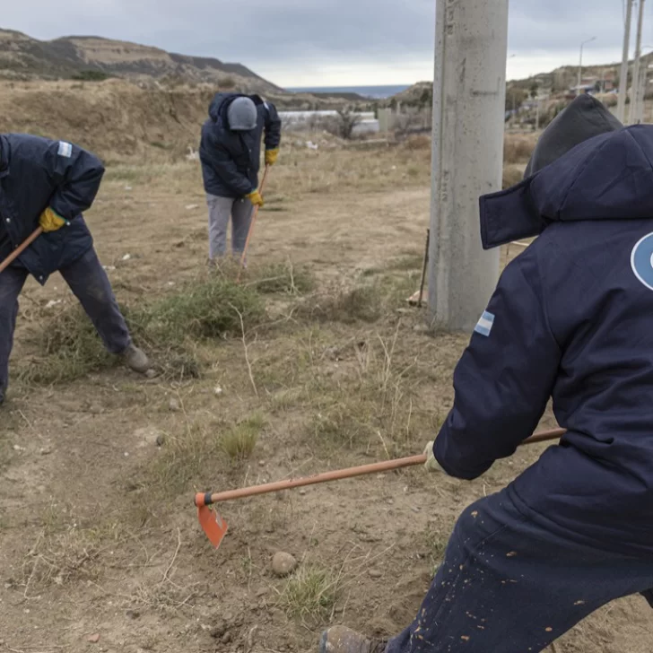 El programa “Vivamos Comodoro más limpio” sigue recorriendo la ciudad El programa “Vivamos Comodoro más limpio” sigue recorriendo la ciudad
