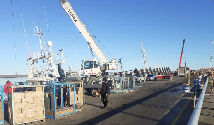 Zafra langostinera: puerto a todo ritmo y 400 puestos de trabajo