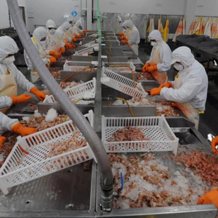 Nuevos mercados para las exportaciones argentinas: El langostino de Santa Cruz a Costa Rica